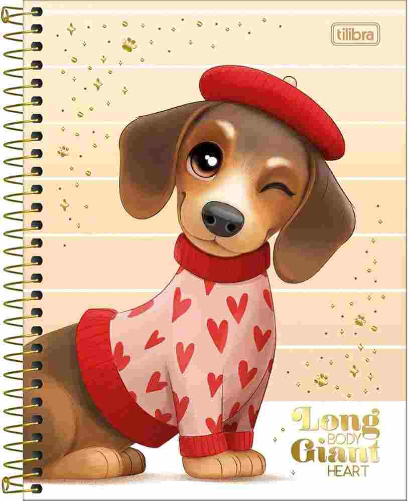 CADERNO 1X1 COLEGIAL BROWNIE